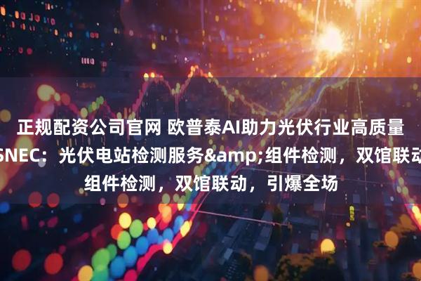 正规配资公司官网 欧普泰AI助力光伏行业高质量发展,闪耀SNEC:光伏电站检测服务&组件检测,双馆联动,引爆全场