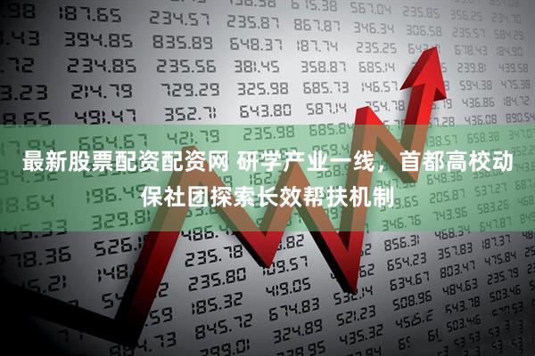 最新股票配资配资网 研学产业一线，首都高校动保社团探索长效帮扶机制